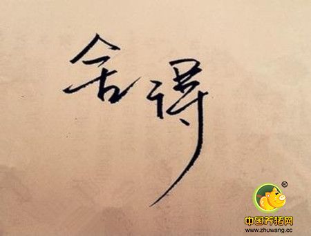 智慧的人生态度：别把最好的留到最后