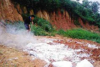 泰安：养猪户污染环境 查处后已被叫停