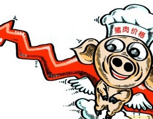 赶紧买！临近春节猪肉价3天涨了2元