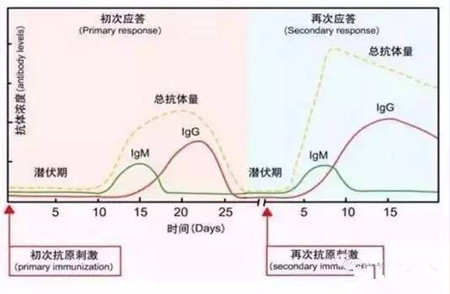猪场用苗后口蹄疫没防住的原因！口蹄疫免疫抗体的消长规律？