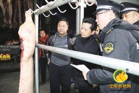 食药监局节前突查 两车身份存疑猪肉被扣