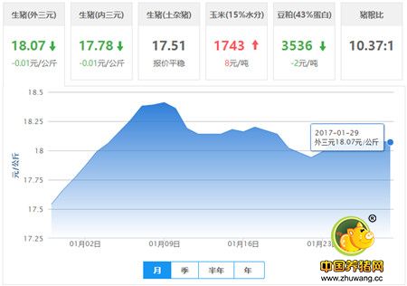 喜！猪价继续维持高位 忧！冷空气闹新春多地温度大幅下降