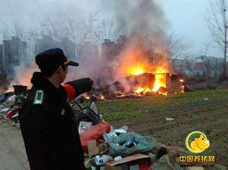 郑州一养猪场除夕夜失火 原因有待调查