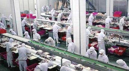 海南查处超万公斤问题猪肉 关停56个不合格生猪屠宰点