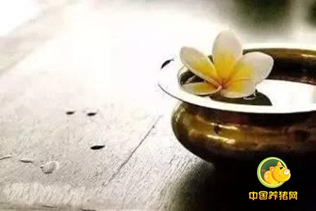 不管身处何种境遇，请不要丢掉希望