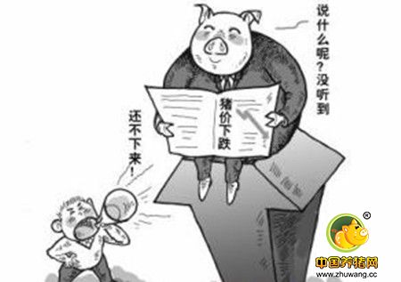 2017年猪价走势预测：养猪人要小心这3个时间点