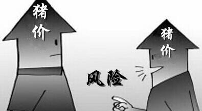 春节后消费转淡，屠宰企业正腾出手来疯狂压价！