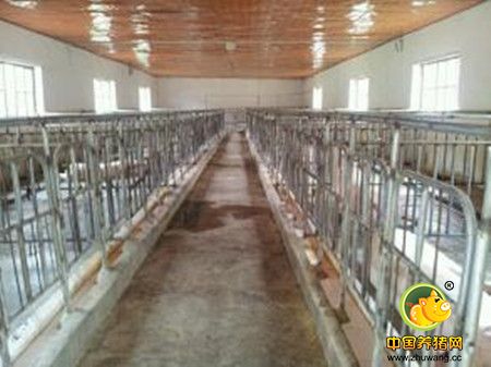 生猪标准化规模养殖场建设应注意的核心问题构架