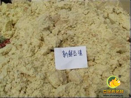 怎样利用糟渣饲料喂猪？