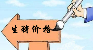 分析师：两周内猪价将停止下跌，再迎来反弹