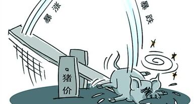 本次跌价并不可怕，养殖户需要淡定切忌恐慌