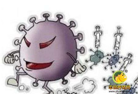 抗病毒药物在兽医上的应用与存在的问题