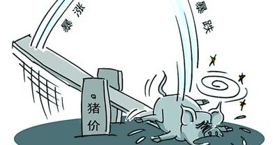 今日猪价暴跌0.39元！消费疲软还要持续多久？