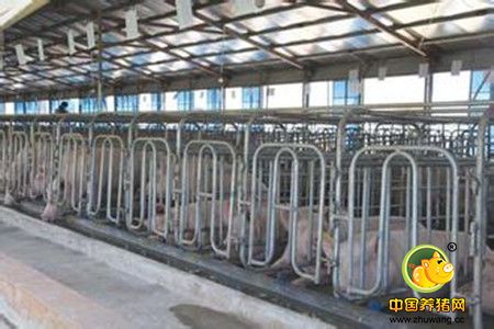 养猪场消防水池建造的基本要求