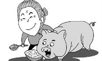 养猪人：普通农户不养猪，实为上策！