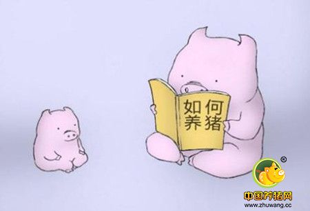 经验分享：秋季养猪有哪些注意事项