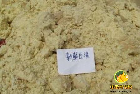 豆腐渣喂猪五不可