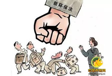 打造“五星级猪圈” 浙企用环保理念重新定义养猪