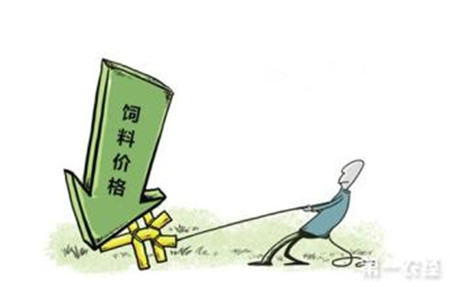 控制饲料成本的五种方法