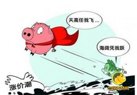 非典型猪周期下的生猪价格该何去何从？