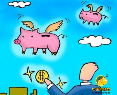 节后猪价行情下跌超出预期，2017年养猪业能否赚钱？