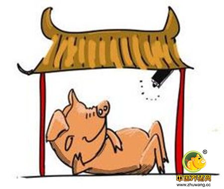周末养猪行情下跌幅度减缓，预计下周跌价能暂时灭火了