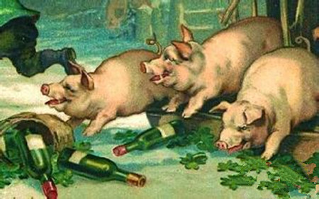 猪群老咳嗽怎么办？