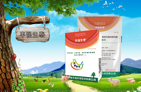 综述：益生菌的营养功能     