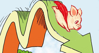 猪价下跌近10%，如何破解“杀跌”恶循环？