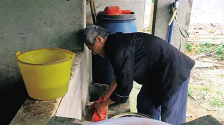 定安尖坡村王德南：盲眼阿公“摸”出养猪致富路