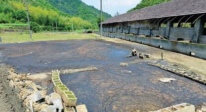若做不到零排污，就算存栏近万也将拆除！