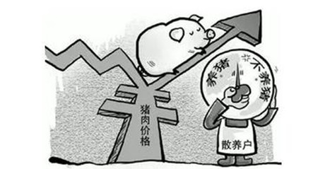 “七”大套路教你如何从养猪散户杀进规模化养猪的新时代！