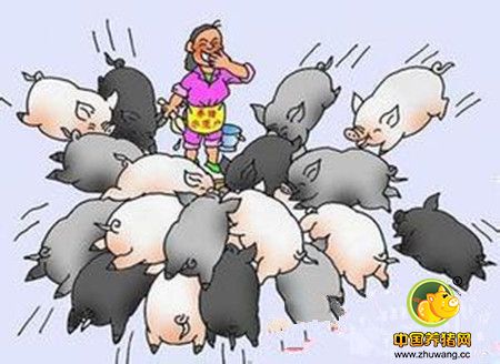 猪场工作最为常见的15个坏习惯，审视一下看看自己有没有？