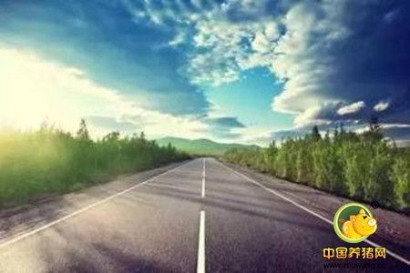 你要走的那条路，真正的“过来人”只有你自己
