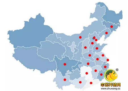  PPV抗体检测结果显示，所有的猪场育肥猪阶段都存在细小病毒的感染！