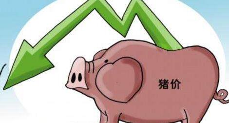 2017猪价会降到7元以下吗？