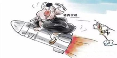 能繁母猪再减15万头！后期你押涨还是押跌？