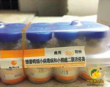 不同兽药的贮存方法