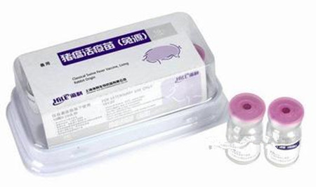 你知道猪瘟疫苗还有这些问题存在么？