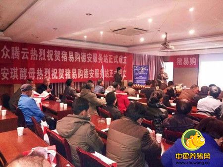 今年养猪还能赚钱吗？猪易购线下服务站让你养猪更轻松！