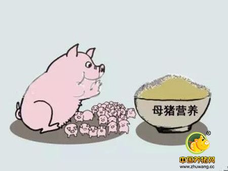 猪场兽药管理措施