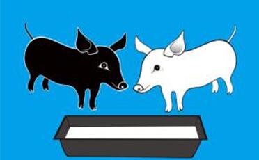 广东东莞定点基地生猪网购年内全面实行