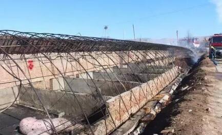 张家口春耕烧荒引发火灾，数头生猪被烧死……