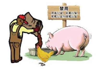 影响兽药疗效的因素