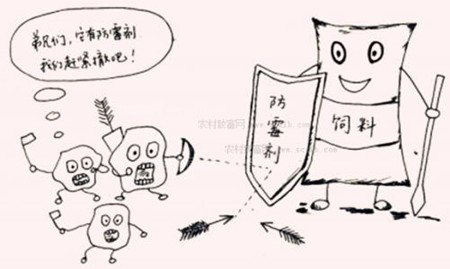 夏季饲料“五”防霉技术