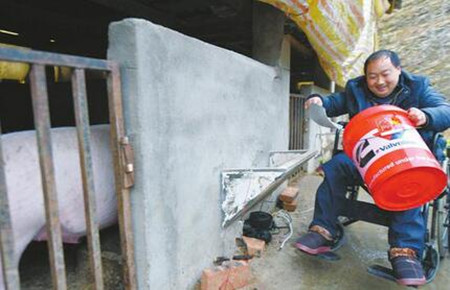 意外令双腿失去知觉 “轮椅大叔”养猪脱贫