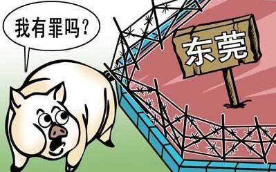 生猪禁养雷厉风行，2017年猪价或依旧居高不下！