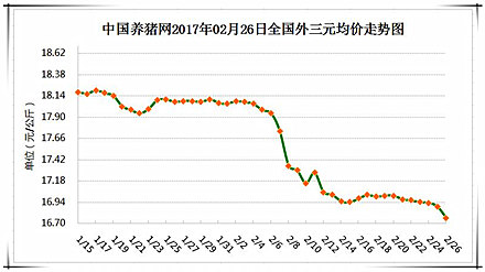 2月26日猪评：养猪户大可放心，此轮猪价小跌有底线