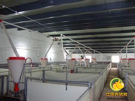 现代化猪场设计建设及所需设备介绍