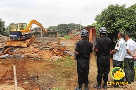 干干净净融入南昌主城区！今明两年湾里要拆除所有养猪场